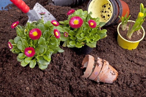 Front view of a gardener in Cricklewood community setting