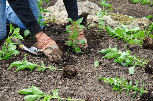 Worker preparing a garden for clearance in Cricklewood