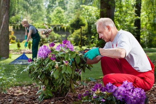 Compost bays and sorted recyclables in a community gardening area